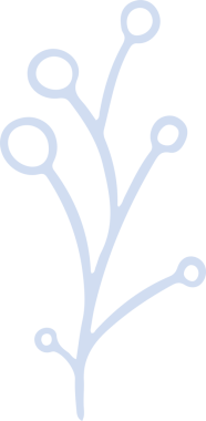 Soluk lavanta tomurcukları içeren minimalist botanik filiz şeffaf arka planda yüzüyor. Soyut, botanik, çiçekli, minimalist, hassas, modern, zarif