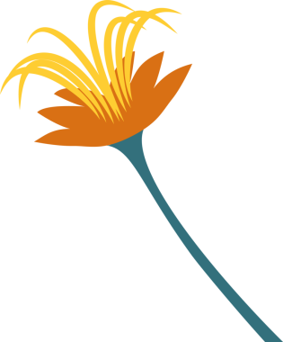 Düz vektör çiçeği, turuncu taç yaprakları, sarı pudingler, deniz mavisi sapı, temiz bir arkaplan. Botanik, çiçek, estetik, canlı, doğa, zarafet, süs