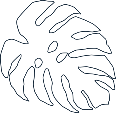 Çizgi çizimi, şeffaf arka planda bölünmüş ve oval oyukları olan biçimlendirilmiş Canavar yaprağını gösteriyor. İllülasyon, botanik, minimalizm, vektör, doğa, yeşillik, iç dekorasyon