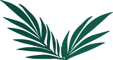 Renkli koyu yeşil palmiye yaprakları, şeffaf arkaplan ile düz vektör olarak ortaya çıkmaktadır. Botanik, doğa, illüstrasyon, vektör, minimalist, organik, tropikal