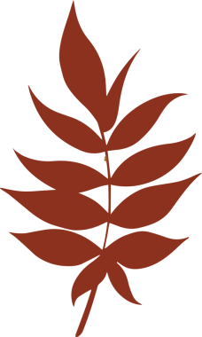 Pas-kahverengi yaprak dalı, şeffaf arkaplanda yaprak siluetlerini gösteren düz bir tasarım içinde sallanıyor. Doğa, botanik, organik, minimalist, çevre dostu, illüstrasyon, dekorasyon