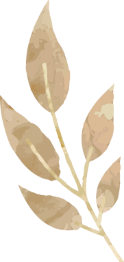 Şeffaf arkaplanda bej rengi altı benekli eliptik yapraklı suluboya dalları gösteriliyor. Botanik, illüstrasyon, doğal, organik, minimalist, sanatsal, dekoratif