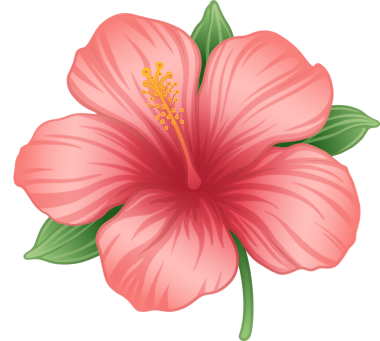 Düz vektör amfibik, şeffaf arka planda pembe yapraklar ve sarı kekemeliği gösteriyor. Botanik, çiçek tasarımı, tropikal, canlı, doğa, zarafet, dekorasyon