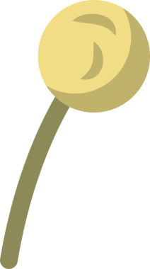 Stilize düz tasarım, saydam arkaplanda zeytin yeşili saplı sarı top içeriyor. Geometrik, minimalizm, canlı, simge, ürün, soyut, illüstrasyon