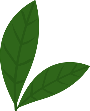 Üç yeşil yapraklı stilize bir küme, şeffaf arkaplan ile düz tasarım olarak gösterilmektedir. Botanik, doğa, eko, illüstrasyon, minimalist, organik, bitki