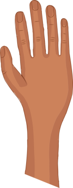 İnsan sağ eli ve ön kolu, şeffaf arka planda düz çizgi film tarzında parmaklarını uzatıyor. İllülasyon, minimalizm, vektör, dijital sanat, anatomi, jest, tasarım