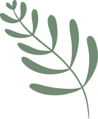 Saydam arka planda on iki oval yeşil yapraklı düz dizayn eğimli botanik filizi görülüyor. Doğa, illüstrasyon, minimalist, botanik, yeşillik, dekorasyon, tasarım