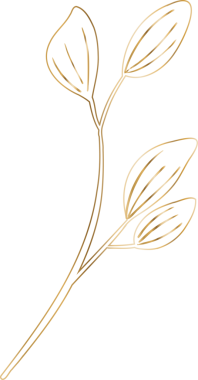 Düz tasarım, dört altın kaplamalı yapraklı, şeffaf arka planda stilize edilmiş yaprak dalını gösteriyor. Botanik, illüstrasyon, minimalizm, doğa, organik, zarafet, çizgi sanatı