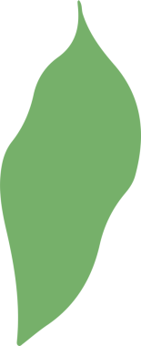 Pürüzsüz kıvrımları olan soyut yeşil yaprak gibi şekil düz tasarımda şeffaf tuval üzerinde yüzüyor. Minimalist, organik, akıcı, doğal, modern, eko, yaratıcı