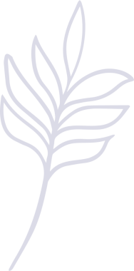 Minimalist vektör sanatı, şeffaf arkaplanda yaprak çizgileri olan stilize edilmiş bitki dalını gösteriyor. Botanik, bitki örtüsü, doğa, eko, organik, resimleme, dekoratif