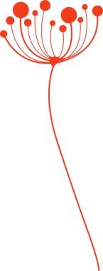 Düz kırmızı tohum başı grafiği, şeffaf arkaplanda yayılan yayılan telleri gösteriyor. İllüstrasyon, modern, minimalist, çiçekli, grafik tasarım, markalaşma, dekoratif