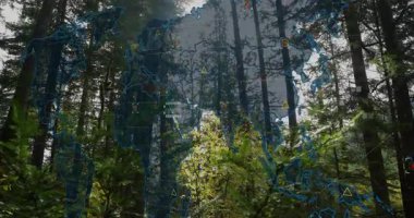 Günışığı ormanı hologram dünya haritasına başlıyor ikonlar kümeleniyor ve analiz için bağlanıyor. Doğa, dijital arayüz, teknoloji, veri görselleştirme, ağ, ekosistem, bağlantı