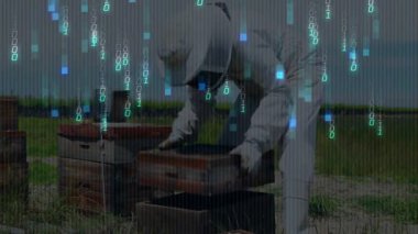 Arıcı büküyor, kovan örtüsünü kaldırıyor ve kovan sağlığı için ikili kodla tarama yapıyor. Apiary, arı yetiştiriciliği, kovan, apikültür, kırsal, doğa, tarım