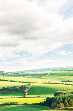 Mavi gökyüzü yeşil tarlaların üzerinde