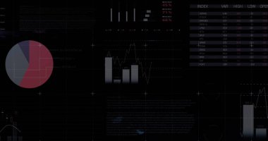 Koyu renk UI 'de gösterim paneli, turta, bar ve hat grafikleri, histogram, veri tablosu ve ızgara çizgileri. Analizler, görselleştirme, gösterge paneli, finans, veri, arayüz, dijital