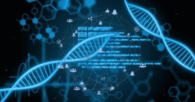 Dönen mavi DNA sarmalları ağ düğümlerini etkinleştiriyor ve dijital bağlantı gösteren kaydırma kodları sergiliyor. Fütürist, dijital, teknolojik, soyut, ağ, bilim, yenilik