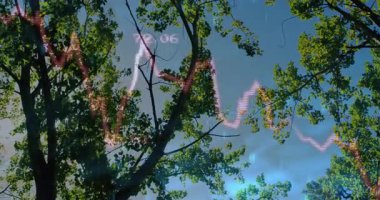 Mavi gökyüzünün altındaki sabit yaprak döken ağaçların arasından solan neon dalga formu çevresel verileri görselleştiriyor. Doğa, dijital, yenilik, teknoloji, veri, görselleştirme, canlı