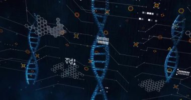 Parlak mavi sarmal yüzmeye başladığında molekülleri analiz eden veri kümeleri gibi ikiz ipliklerde kayboluyor. Biyoteknoloji, dijital, fütüristik, veri görselleştirme, yenilik, bilim, teknoloji