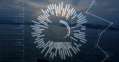 Radyal veri, canlandırma çubuklarının görünmesini ve para birimi değişimini göstermek için tezgahı güncellemesini kapsar. Macera, dinginlik, yenilik, analitik, görselleştirme, dijital, denizcilik