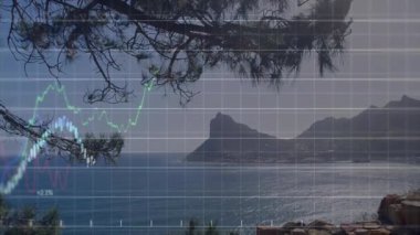 Kıyı sahasında ortaya çıkan şebeke örtüsü, yükselen veri grafiği, patlak veren etiketler, piyasa eğilimleri. Deniz manzarası, veri görselleştirme, finansal analiz, sakin, profesyonel, minimalist, dijital