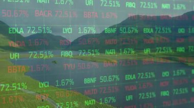 Başlangıçta piyasa uçuculuğunu gösteren yükselen ve azalan yüzdeleri kaplayan bir kalp atışıdır. Dağgölü, finansal haritalar, dinginlik, veri tasarımı, manzara, ticaret, yatırım