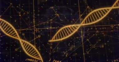 Geniş DNA sarmalları merkeze kayıyor, dönüyor, noktalı yaylar oluşturuyor ve veri ağını görselleştiriyor. Futuristik, dijital, karmaşık, bilimsel, ağ, teknolojik, yenilikçi