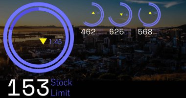 Alacakaranlık sahilinde 1.45 'lik mor halka şeması sergileniyor. Stok limiti ve kopyalama alanı var. Dijital, analitik, görselleştirme, kentsel, finansal, veri, teknoloji