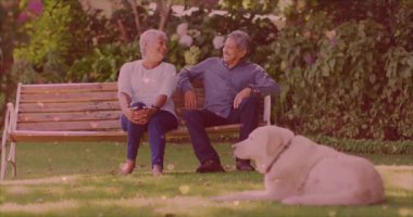 Sağlık kampanyası için parktaki bankta şakalaşan yaşlı çift, kalp ikonu üretiyor. Romantizm, arkadaşlık, yaşlanma, açık hava, dinginlik, dostluk, şefkat