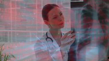 Doktor pencere perdelerine röntgen filmi getiriyor, döndürüyor ve teşhis için akciğer gölgelerini inceliyor. Tıbbi, sağlık, tanı, radyoloji, profesyonel, klinik, analiz