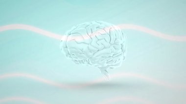 Sol yarıküre görüntüsü, 3 boyutlu beyni saat yönünde döndürür ve vitrin loplarına doğru süzülür. Nörolojik, geleceksel, soyut, hareket, bilimsel, yenilikçi, dijital