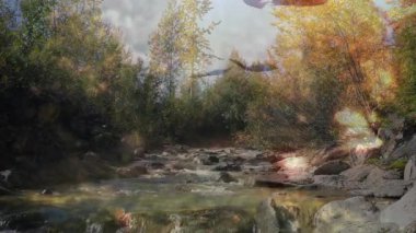 Kayaların üzerinden süzülen su, süzülen yapraklar ve girdap, sonbahar akıntısının dinginliğini gösterir. Doğa, manzara, sükunet, mevsimsel, manzaralı, açık hava, yansıma