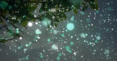 Dal altında parlayan parçacıklar çiftlerin etrafında dönerek teknolojiye doğru bakıyorlar. Parıltı, ortam, sükunet, doğa, siluet, cazibe, sükunet