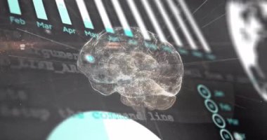 3 boyutlu beyin dönen çubuklar kodları kaydırıyor turta çeviriyor ve ortaya çıkan verileri görselleştiriyor. Gelecek, veri, görselleştirme, teknoloji, analitik, nöral, dijital