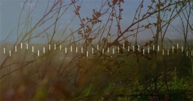 Üst üste gelen başlangıç çubukları pürüzlü hat temizliği ile titreşiyor, rakamlar güncelleniyor ve eğilim gösteriliyor. İstatistikler, analitikler, görselleştirme, veriler, büyüme, ölçüler, soyut