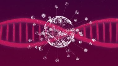 Beyaz nokta titreşim genişletme küresi ağ büyümesini gösteren değişen sarmallara bağlantılar gönderiyor. Gelecek, teknoloji, dijital, yenilik, bağlantı, soyut, ağ