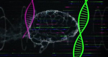Arayüz başlatılıyor, mor ve yeşil sarmallar kablo çerçevesi beyninin yörüngesinde dönüyor, veri akışını canlandırıyor. Sinirsel, yenilik, teknoloji, dijital, geleceksel, siber uzay, bağlantı