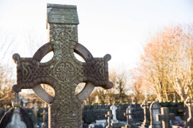 Gökyüzüne karşı ağaçların olduğu bir mezarlık.