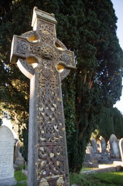 Mezar taşının mezarlıktaki ağaçtan ağaca düşük açılı görüntüsü