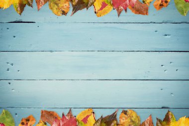 Renkli sonbahar yaprakları düz dizaynlı mavi ahşap yüzeyi çerçeveliyor. Kırsal, mevsimsel, dokulu, canlı, doğal, dekoratif, rahat