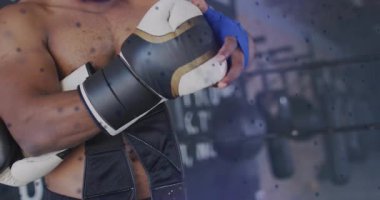 Gömleksiz erkek boksör eldiven tutuyor, boks salonunda iki eldivene de kayış takıyor antrenman hazırlıyor. Atletik, güç, zindelik, eğitim, disiplin, fizik, kararlılık