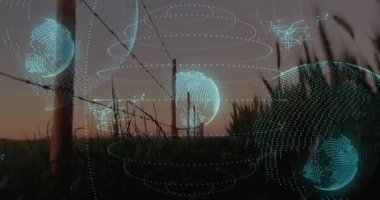 Alacakaranlıkta tarım arazisinde beliren üç deniz mavisi holografik küre, dönen halkalar ve ekin verilerinin haritası. Teknoloji, yenilik, fütüristik, veri, görselleştirme, kırsal, dijital