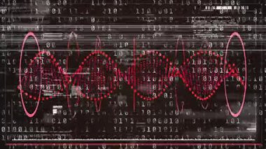 Sinüs dalga formunu başlatan ikili basamaklar kaydırılıyor, pembe elipsler, titreşen kırmızı eğriler yerleşiyor. Veri görselleştirme, dijital sanat, fütüristik, soyut, teknoloji, hareket grafikleri, siber