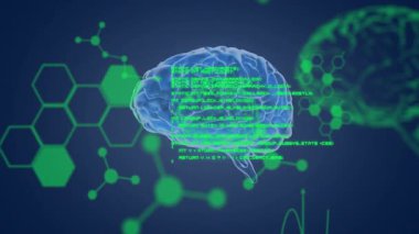 Yeşil kod, 3 boyutlu holografik beyin dönüşümlü olarak görüntü için yapıları açığa çıkarıyor. Hologram, nöral, görselleştirme, dijital, sanal, geleceksel, veri