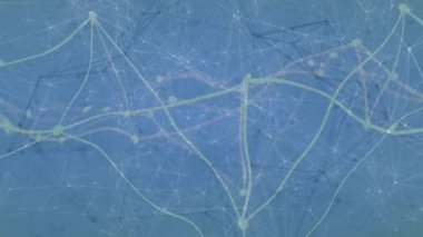 Sarı çizgilerin parlaması ve veri akışını gösteren düğümlerden sonra ağ animasyonu dalga formu oluşturur. Teknoloji, bağlantı, görselleştirme, dijital, veri, dalga, siber