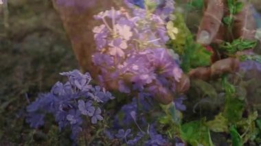 Bahçıvan çiçek ekmeye başlıyor, toprağı örtüyor ve yaprakları temizliyor kök sağlığını arttırıyor. Flora, bahçıvanlık, bahçıvanlık, doğal, çevre dostu, canlı, organik