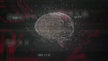 Beyin dönen darbeleri yüklerken korteks devre kartı nöral veriyi görselleştiriyor. Nöral ağ, dijital alarm sistemi, fütüristik, sibernetik, veri akışı, görselleştirme, teknoloji