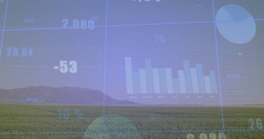 Çimenli çayırlarda veri örtüsü gösteriliyor, ölçü ve ızgara çizgilerine sahip çubuk ve pasta grafikleri sunuluyor. Doğa, analitik, bilgi, minimalist, açık hava, teknoloji, görselleştirme