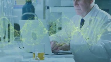 Test tüplerinin yanında dizüstü bilgisayarda yazı yazan kıdemli bilim adamı kimya araştırmaları için 3 boyutlu model büyümesini başlatıyor. Yenilik, teknoloji, araştırma, görselleştirme, bilim, laboratuvar, geleceksel
