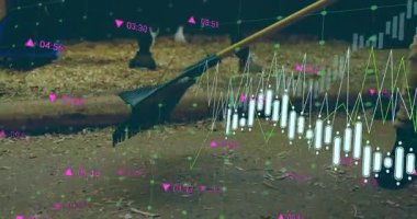 Finansal şamdan çizelgesi, rehber kadın ve kızın veri takibi için stabil talaş topladığını gösteriyor. Tırmıklama, akıl hocalığı, kırsal, kırsal, takım çalışması, analitik, açık hava