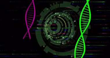 Işık titreşen arayüz dönen sarmal sallanan halkalar geri çekiliyor ve tüneli gösteriyor. Gelecek, teknoloji, dijital, holografik, veri, görselleştirme, soyut